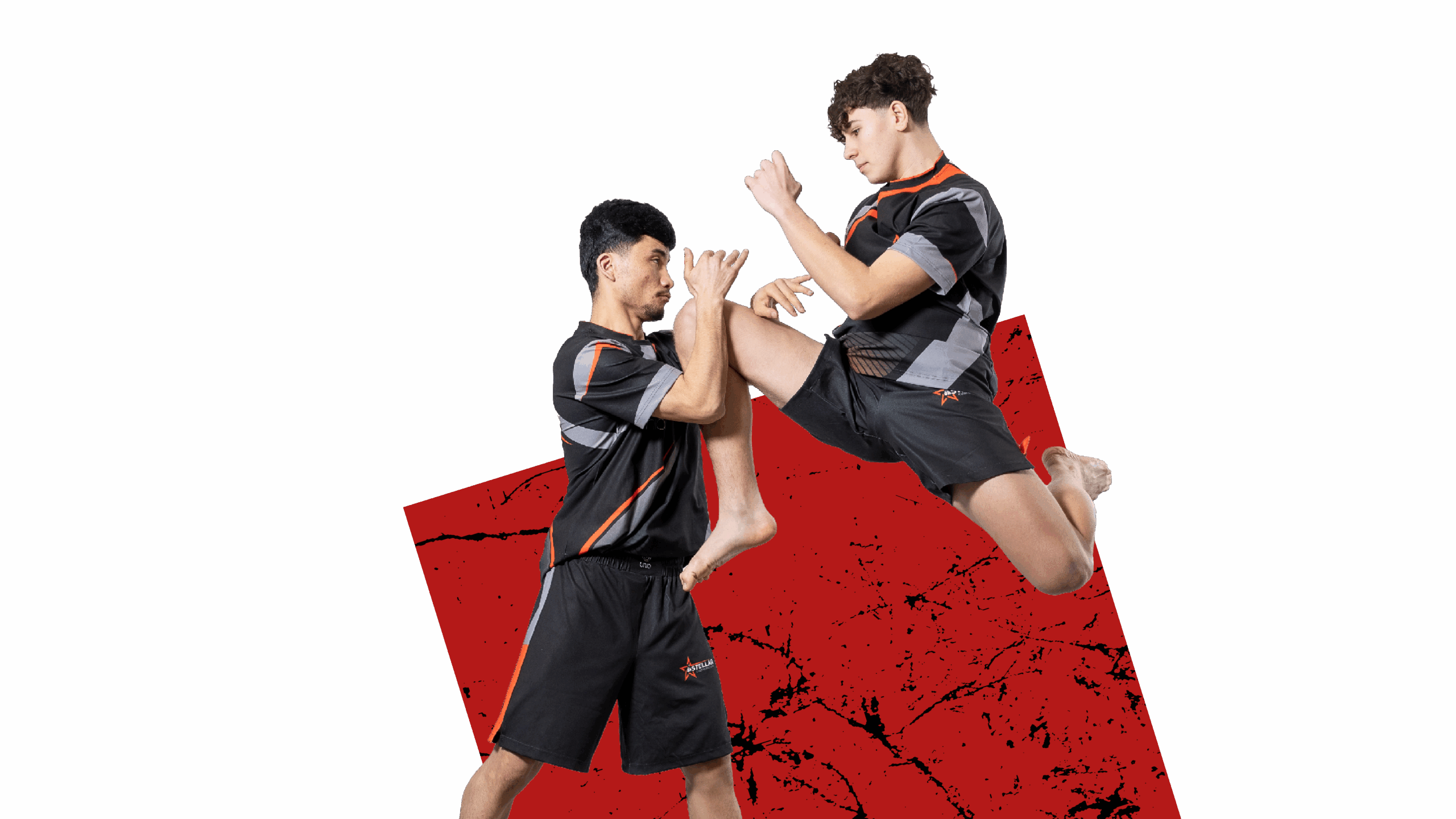 Stellar kampfsport-MMA