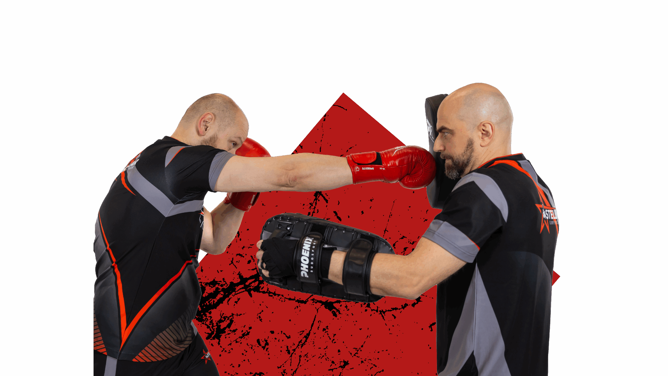 Stellarkampfsport-Thaiboxen